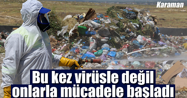 Bu kez mücadele virüsle değil, onlarla