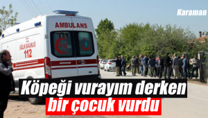 Karaman'da köpeği vurmak isterken yanlışlıkla çocuk vurdu