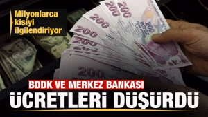 BDDK ve merkez bankası kararı