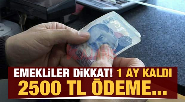 Emekliler dikkat 2500 liraya kadar alabilirsiniz