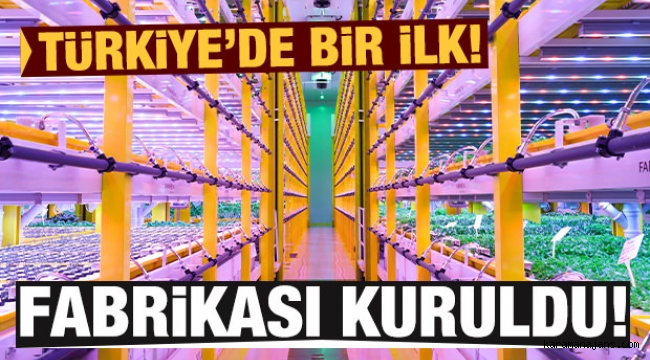 Türkiye'de ilk bitki fabrikası kuruldu