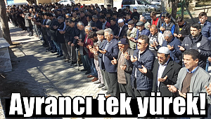 Ayrancı tek yürek!