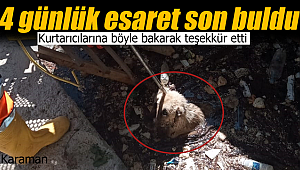 4 günlük esaret böyle bitti