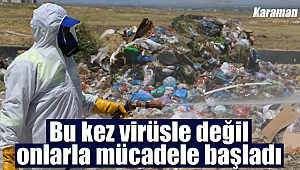 Bu kez virüs değil onlarla mücadele ediliyor