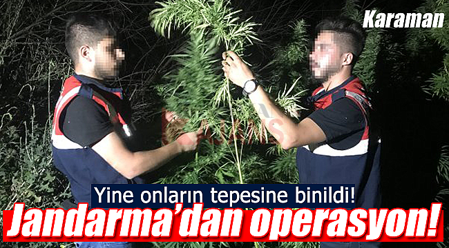 Karaman'da jandarma'dan operasyon