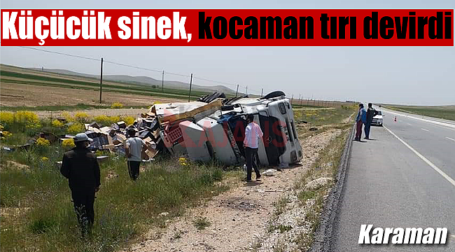 Küçücük sinek kocaman tırı devirdi