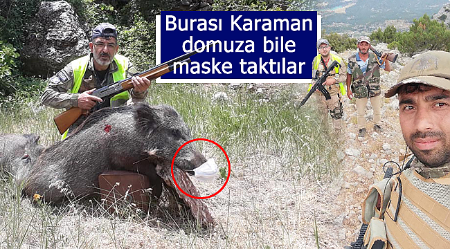 Burası Karaman domuza bile maske taktılar