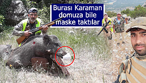 Burası Karaman domuza bile maske taktılar
