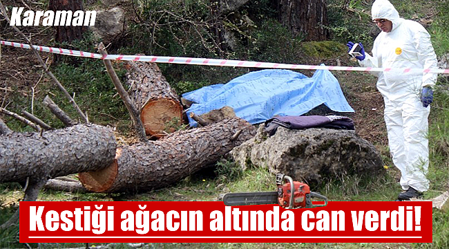 Karaman'da acı son, kestiği ağacın altınca can verdi