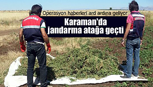 Karaman'da jandarma atağa geçti