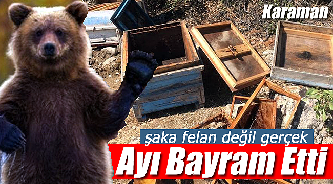 Karaman'da ayı bayram etti