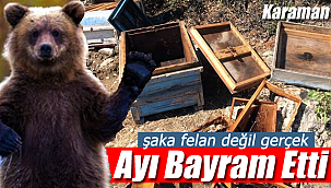 Karaman'da ayı bayram etti