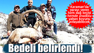 Karaman'da parayı basan Anadolu yaban koyunu ve yaban keçisi avlayabilecek