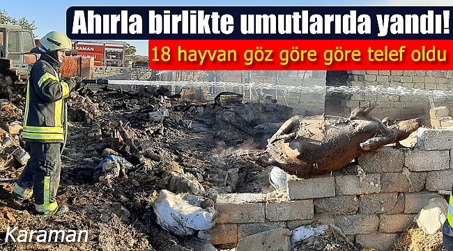 Karaman'daki ahır yangınında 18 hayvan telef oldu