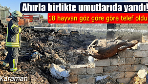 Karaman'daki ahır yangınında 18 hayvan telef oldu
