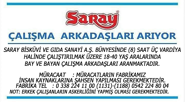 Saray çalışma arkadaşları arıyor