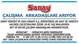 Saray çalışma arkadaşları arıyor