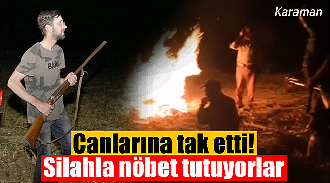 Canlarından bezdiler silahla nöbet tutuyorlar