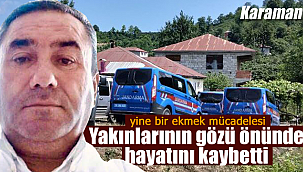 Karaman'da ekmek parası için çıktığı ağaçtan düşerek hayatını kaybetti
