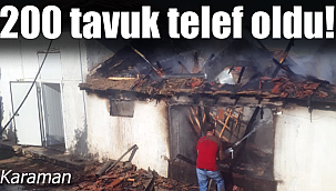 Karaman'da ki yangında 200 tavuk telef oldu