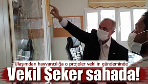Karaman Milletvekili Recep Şeker sahada