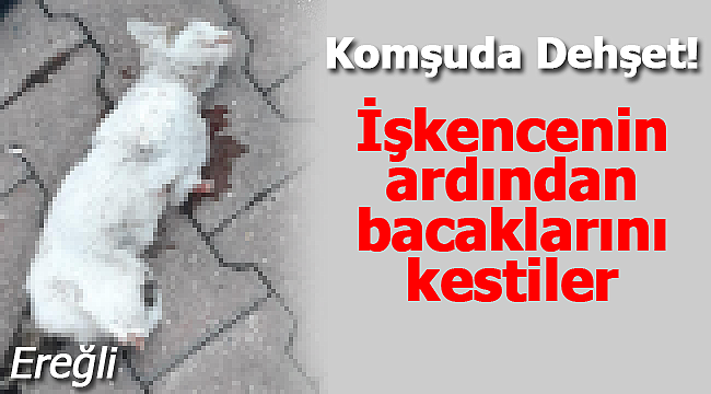 Komşuda dehşet işkencenin ardından bacaklarını kestiler