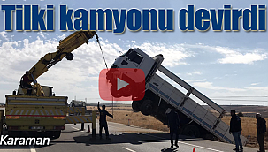 Tilki kamyonu devrdi