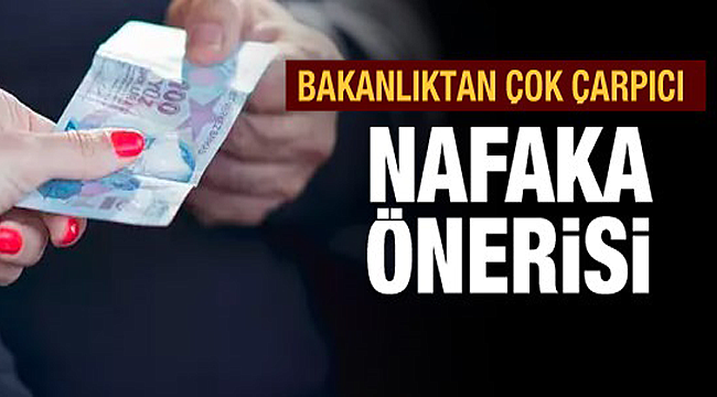 Türkiye'de nafaka için yeni öneri