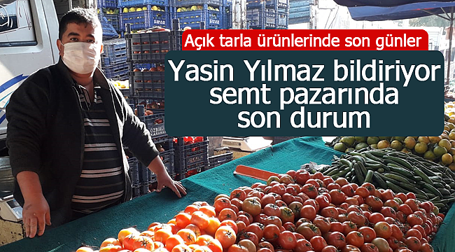 Açık tarlada son haftalar işte tezgahta fiyatlar