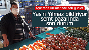 Açık tarlada son haftalar işte tezgahta fiyatlar