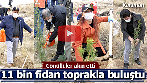 Karaman'da 11 bin fidan toprakla buluştu