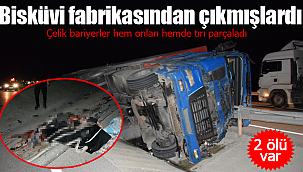 Çelik bariyerler hem onları hemde tırı parçaladı