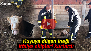 Karaman'da kuyuya düşen ineği itfaiye kurtardı