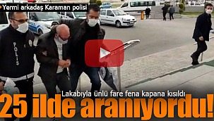 Yermi Karaman polisi, market faresi Karaman'da kapana kısıldı
