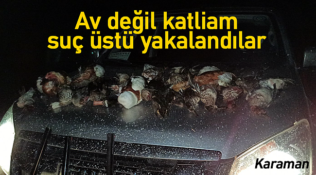 Av değil katliam, suç üstü yakalandılar