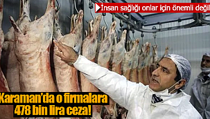 Karaman'da insan sağlığını hiçe sayan 52 işletmeye ceza