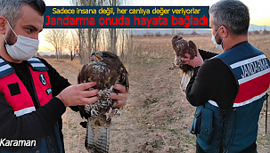 Karaman'da jandarma her canlı için mesai yapıyor