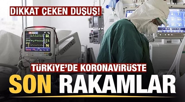 Koronavirüste dikkat çeken rakamlar açıklandı