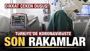 Koronavirüste dikkat çeken rakamlar açıklandı