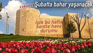 Karaman'da şubat ayında bahar yaşanacak