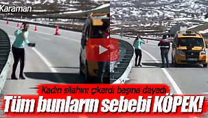 Köpeği alınan kadın çılgına döndü!