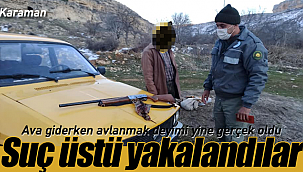 Yine ava giderken avlandılar suç üstü yakalandılar