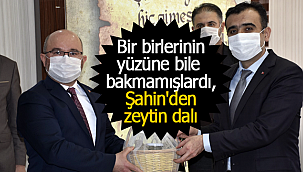 Bir birlerinin yüzüne bile bakmamışlardı, Şahin'den zeytin dalı