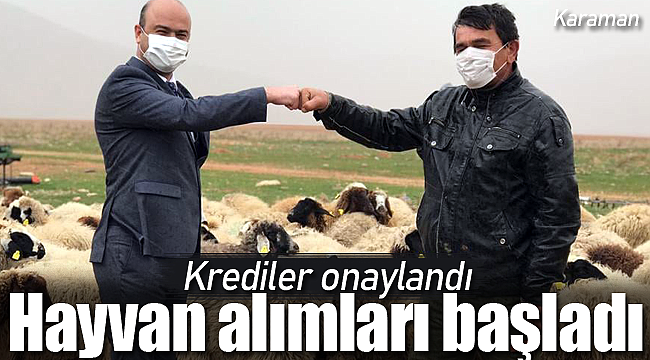 Karaman'da krediler onaylandı hayvan alımları başladı