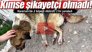 Karaman'da gözü dönen adam köpeklerin üzerine ateş açtı