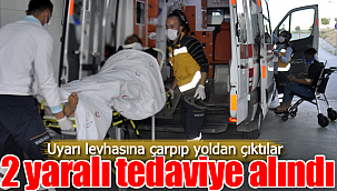 Uyarı levhasına çarpıp yoldan çıktılar