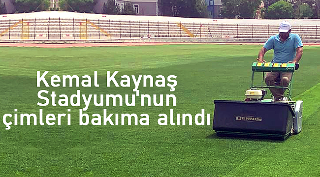 Kemal Kaynaş Stadyumu'nun çimleri bakıma alındı