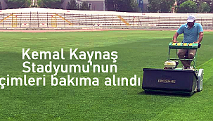 Kemal Kaynaş Stadyumu'nun çimleri bakıma alındı