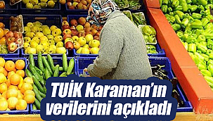 TUİK Karaman'ın verilerini açıkladı