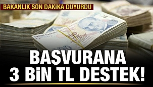 Başvurana 3 bin lira destek
